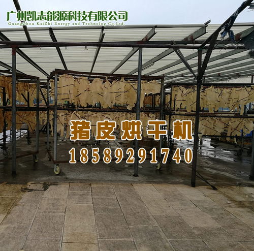 豬皮烘干設(shè)備與鞋帽批發(fā)行業(yè)的專業(yè)廠家推薦